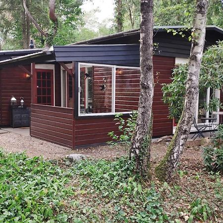 Bosbungalow De Eekhoorn Nunspeet Extérieur photo