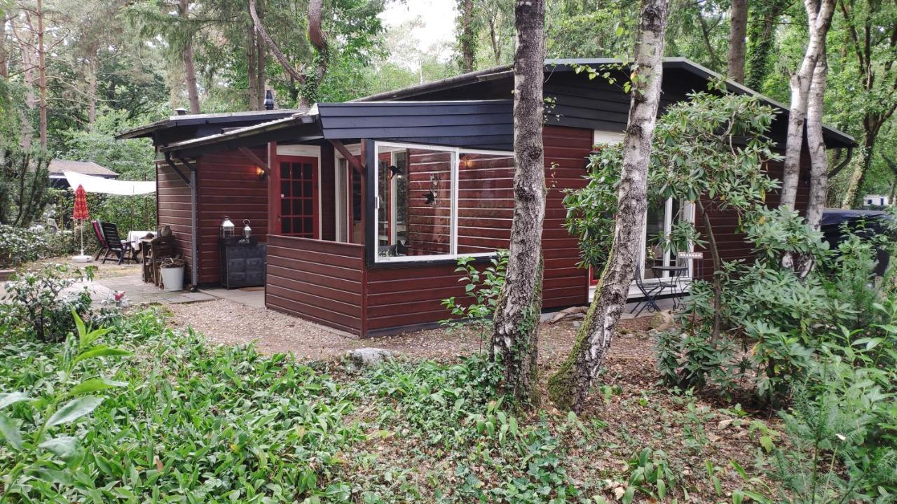 Bosbungalow De Eekhoorn Nunspeet Extérieur photo