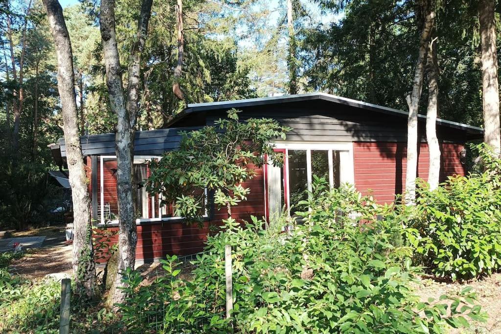 Bosbungalow De Eekhoorn Nunspeet Extérieur photo