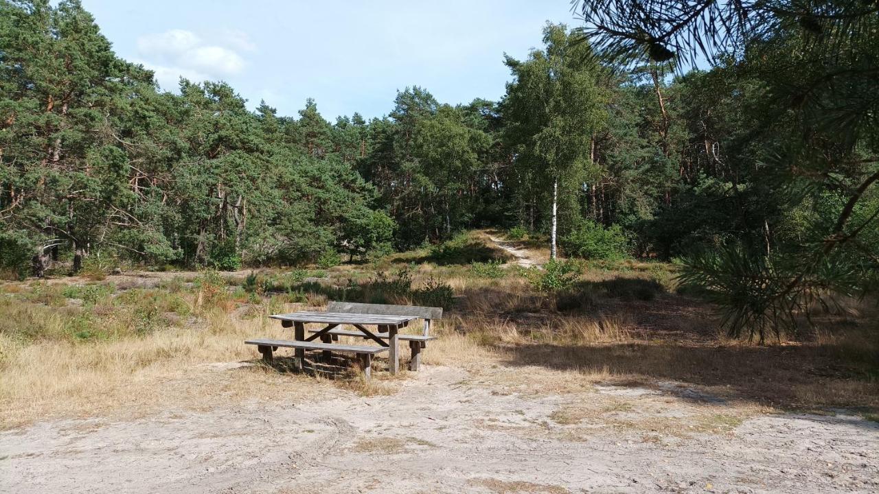 Bosbungalow De Eekhoorn Nunspeet Extérieur photo