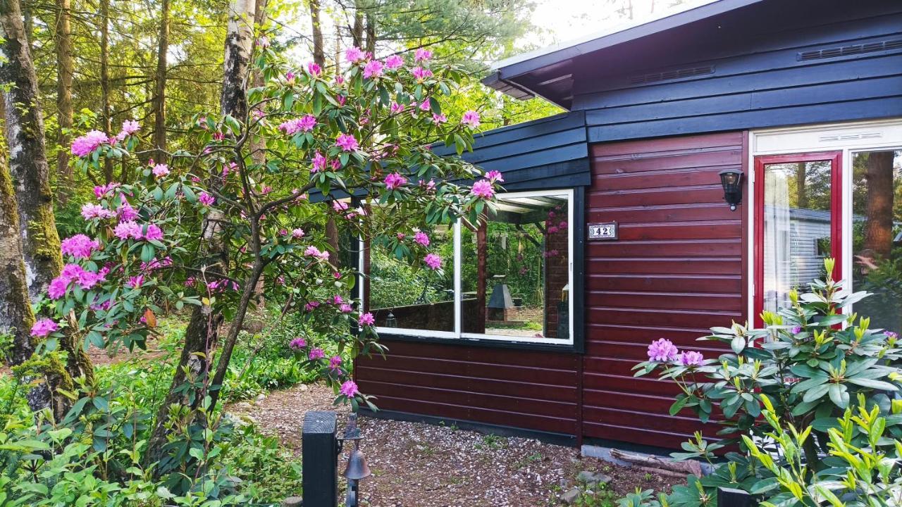 Bosbungalow De Eekhoorn Nunspeet Extérieur photo